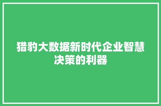 猎豹大数据新时代企业智慧决策的利器