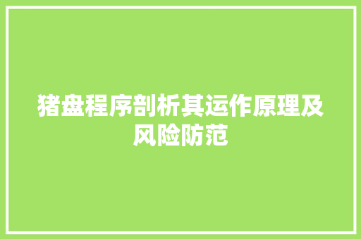 猪盘程序剖析其运作原理及风险防范