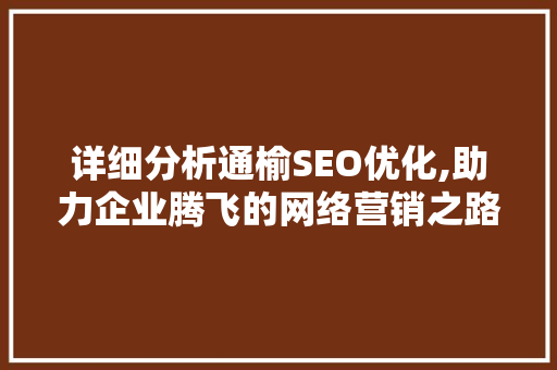 详细分析通榆SEO优化,助力企业腾飞的网络营销之路