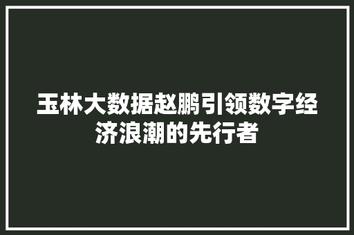 玉林大数据赵鹏引领数字经济浪潮的先行者