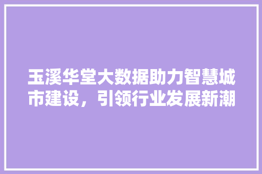 玉溪华堂大数据助力智慧城市建设，引领行业发展新潮流