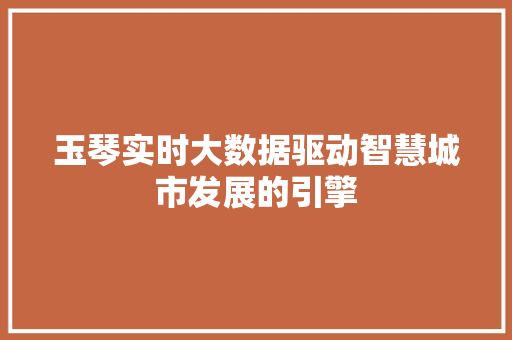玉琴实时大数据驱动智慧城市发展的引擎