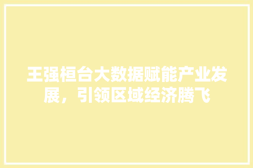 王强桓台大数据赋能产业发展，引领区域经济腾飞