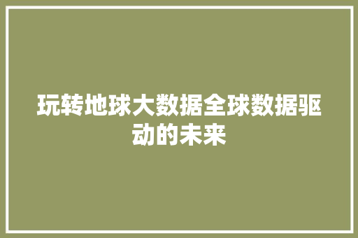 玩转地球大数据全球数据驱动的未来