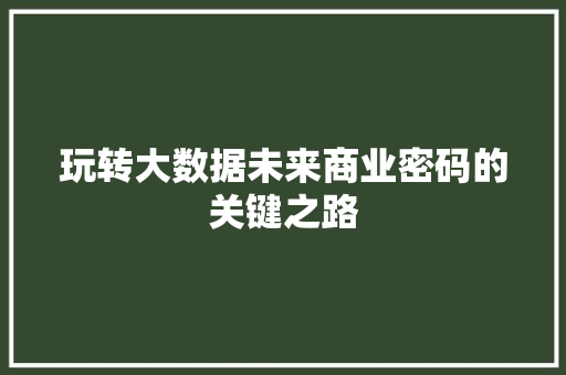 玩转大数据未来商业密码的关键之路