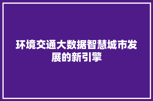 环境交通大数据智慧城市发展的新引擎