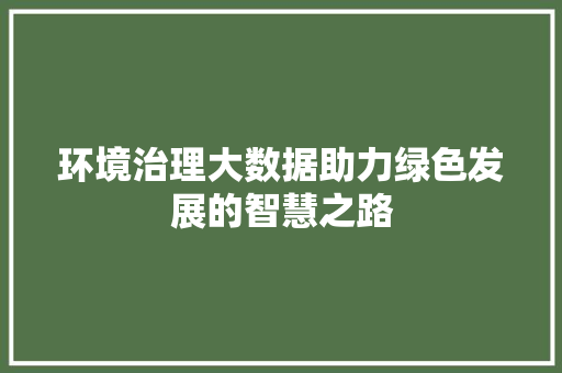 环境治理大数据助力绿色发展的智慧之路