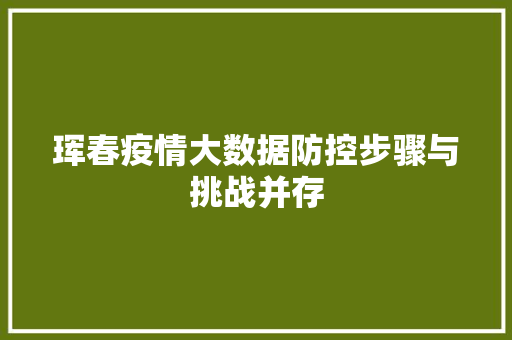珲春疫情大数据防控步骤与挑战并存