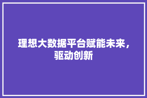 理想大数据平台赋能未来，驱动创新
