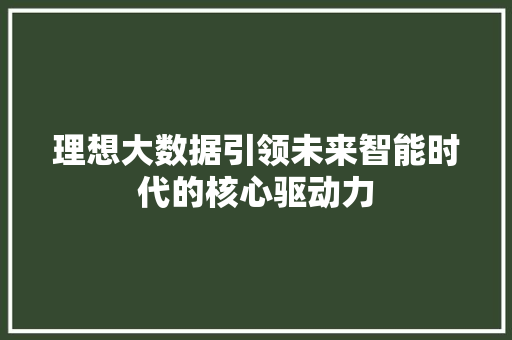 理想大数据引领未来智能时代的核心驱动力