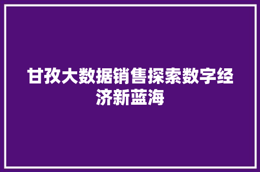 甘孜大数据销售探索数字经济新蓝海
