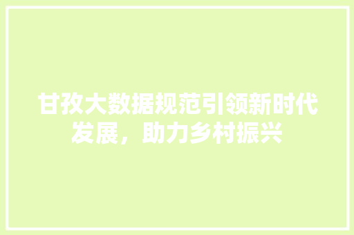 甘孜大数据规范引领新时代发展，助力乡村振兴