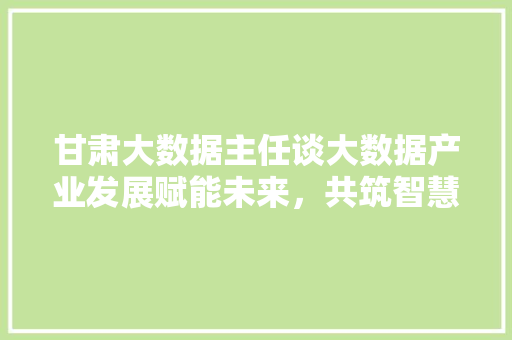 甘肃大数据主任谈大数据产业发展赋能未来，共筑智慧甘肃