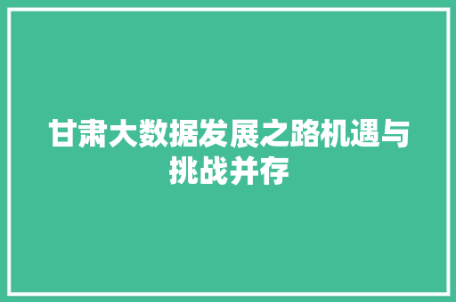 甘肃大数据发展之路机遇与挑战并存