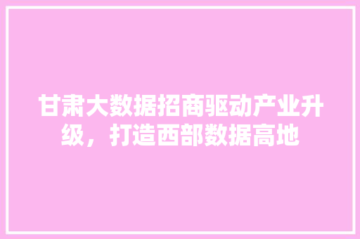甘肃大数据招商驱动产业升级，打造西部数据高地