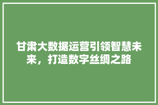 甘肃大数据运营引领智慧未来，打造数字丝绸之路