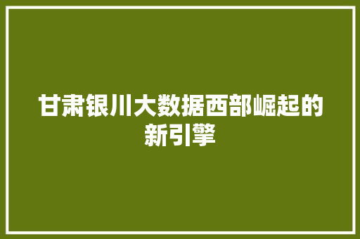 甘肃银川大数据西部崛起的新引擎