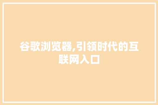 谷歌浏览器,引领时代的互联网入口