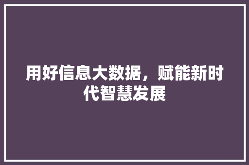 用好信息大数据，赋能新时代智慧发展