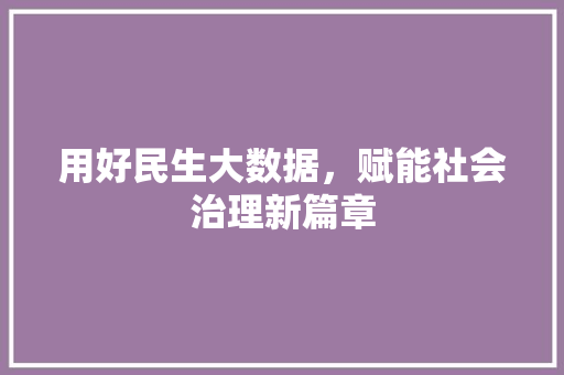 用好民生大数据，赋能社会治理新篇章