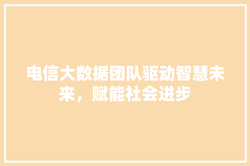电信大数据团队驱动智慧未来，赋能社会进步