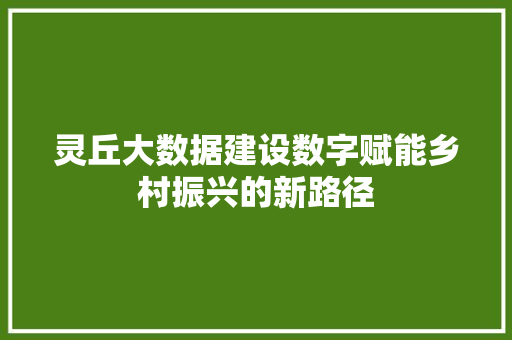 灵丘大数据建设数字赋能乡村振兴的新路径