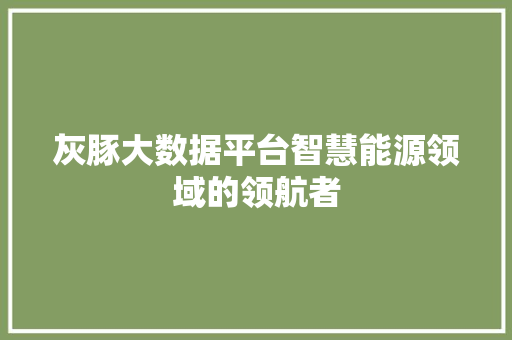 灰豚大数据平台智慧能源领域的领航者