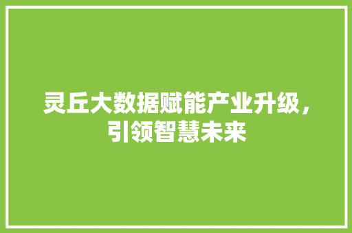 灵丘大数据赋能产业升级，引领智慧未来