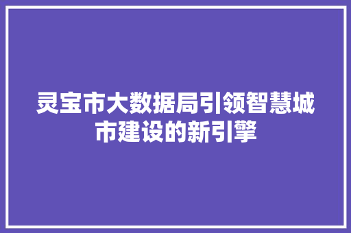 灵宝市大数据局引领智慧城市建设的新引擎