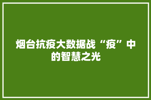 烟台抗疫大数据战“疫”中的智慧之光