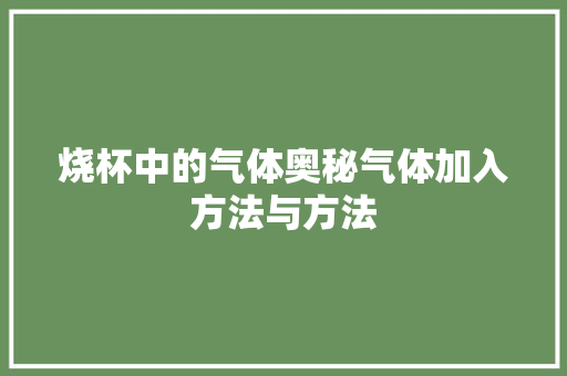 烧杯中的气体奥秘气体加入方法与方法