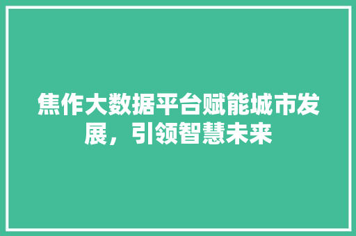 焦作大数据平台赋能城市发展，引领智慧未来