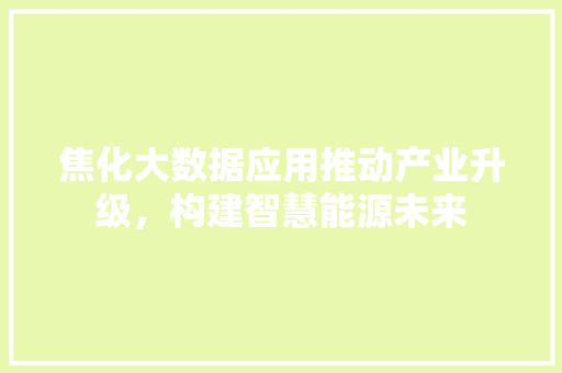焦化大数据应用推动产业升级，构建智慧能源未来