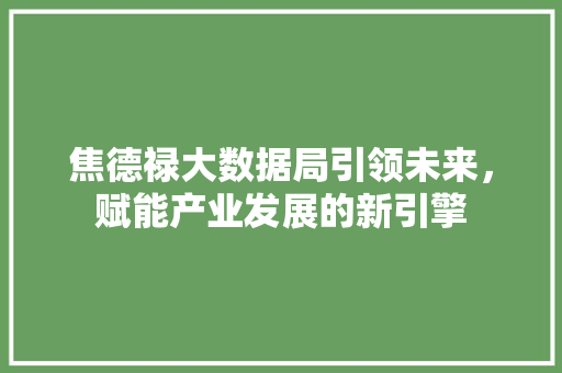 焦德禄大数据局引领未来，赋能产业发展的新引擎