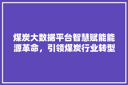 煤炭大数据平台智慧赋能能源革命，引领煤炭行业转型升级