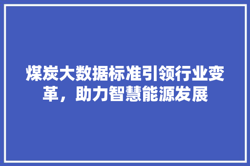煤炭大数据标准引领行业变革，助力智慧能源发展