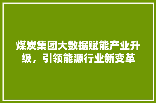 煤炭集团大数据赋能产业升级，引领能源行业新变革