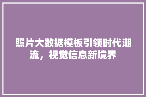 照片大数据模板引领时代潮流，视觉信息新境界