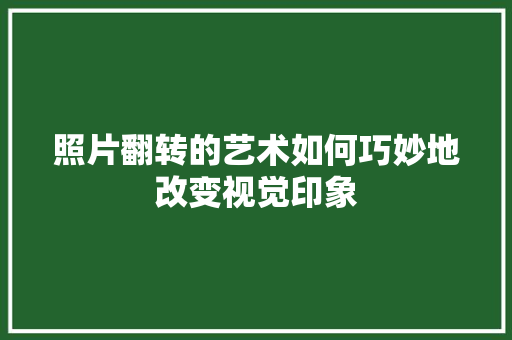 照片翻转的艺术如何巧妙地改变视觉印象