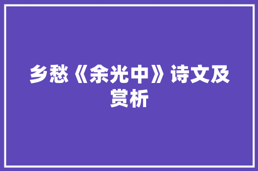 详细分析snseo21,介绍搜索引擎优化中的关键因素