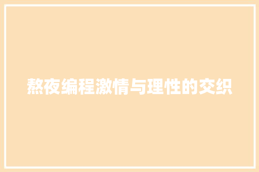 熬夜编程激情与理性的交织