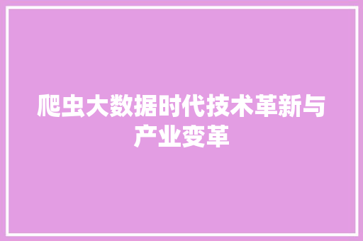 爬虫大数据时代技术革新与产业变革