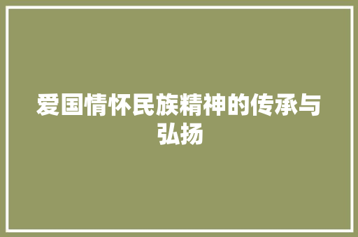 爱国情怀民族精神的传承与弘扬