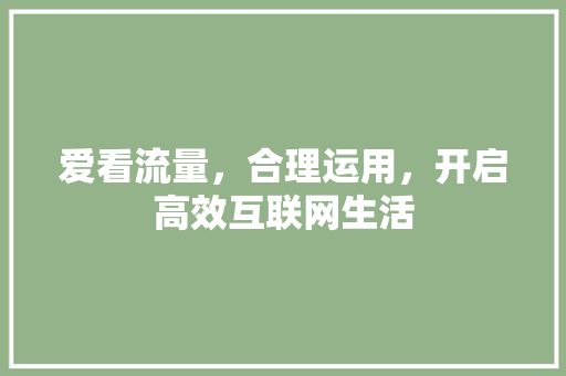 爱看流量，合理运用，开启高效互联网生活