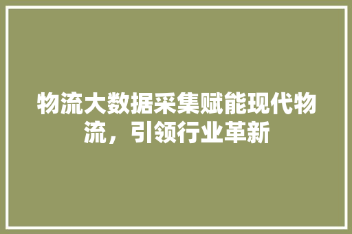 物流大数据采集赋能现代物流，引领行业革新