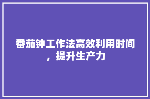番茄钟工作法高效利用时间，提升生产力
