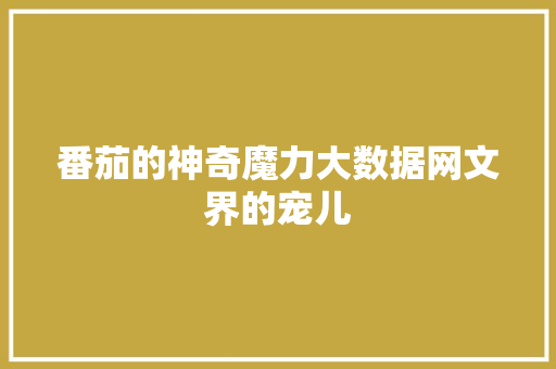 番茄的神奇魔力大数据网文界的宠儿