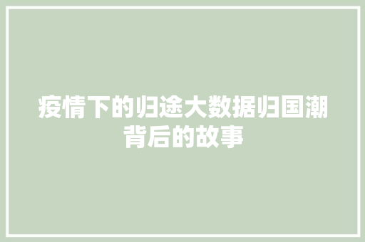 疫情下的归途大数据归国潮背后的故事