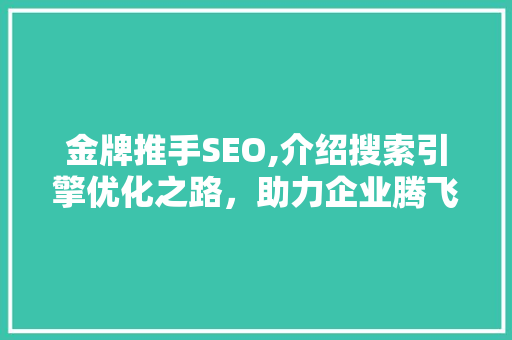 金牌推手SEO,介绍搜索引擎优化之路，助力企业腾飞