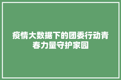 疫情大数据下的团委行动青春力量守护家园
